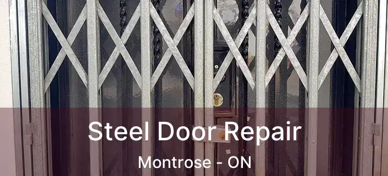  Steel Door Repair Montrose - ON