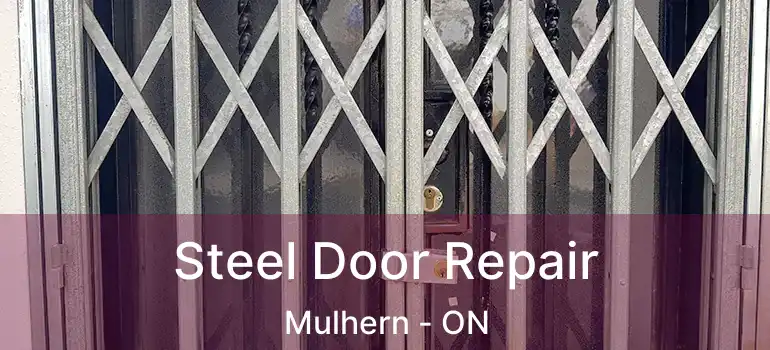  Steel Door Repair Mulhern - ON