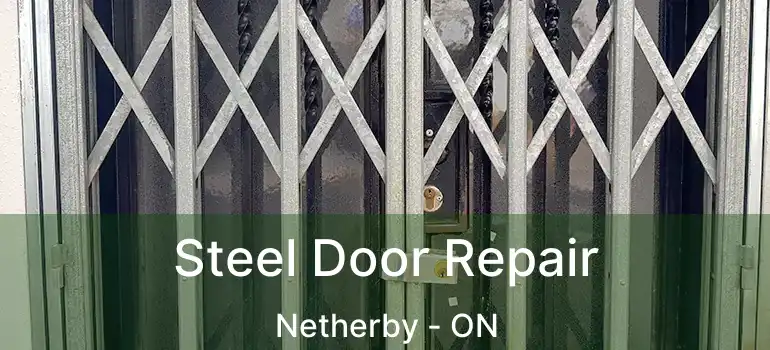  Steel Door Repair Netherby - ON