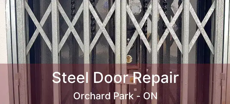  Steel Door Repair Orchard Park - ON