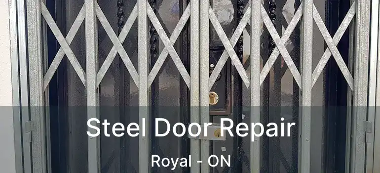  Steel Door Repair Royal - ON