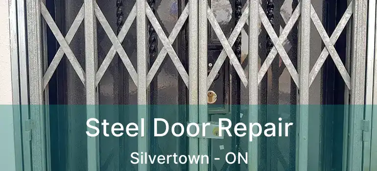  Steel Door Repair Silvertown - ON