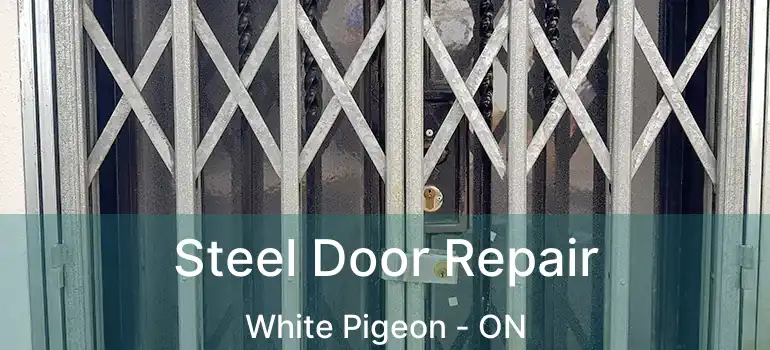  Steel Door Repair White Pigeon - ON