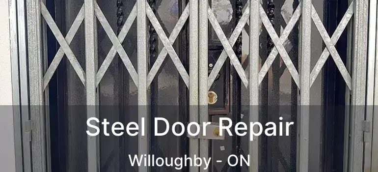  Steel Door Repair Willoughby - ON