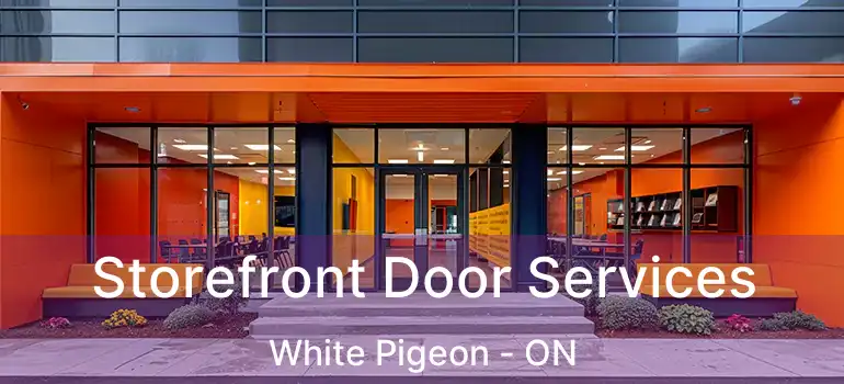  Storefront Door Services White Pigeon - ON