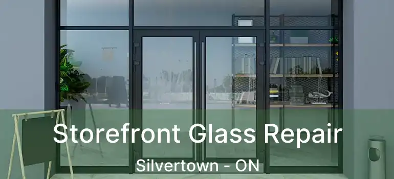  Storefront Glass Repair Silvertown - ON