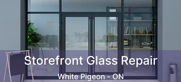  Storefront Glass Repair White Pigeon - ON