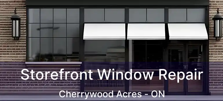  Storefront Window Repair Cherrywood Acres - ON