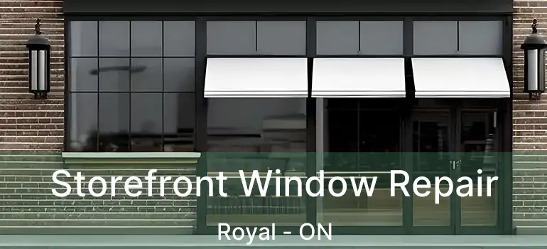  Storefront Window Repair Royal - ON