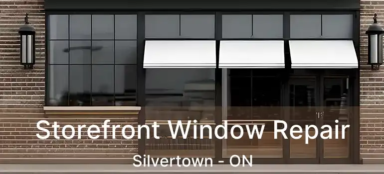  Storefront Window Repair Silvertown - ON