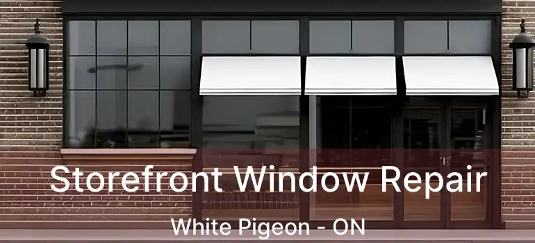  Storefront Window Repair White Pigeon - ON