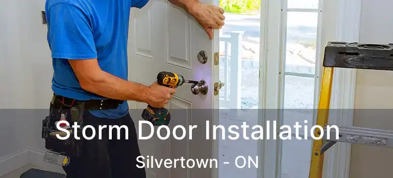  Storm Door Installation Silvertown - ON