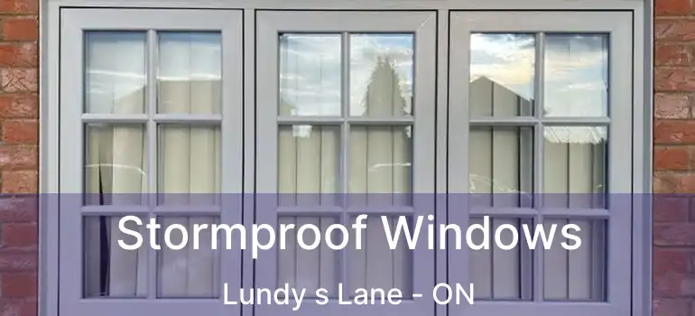  Stormproof Windows Lundy s Lane - ON