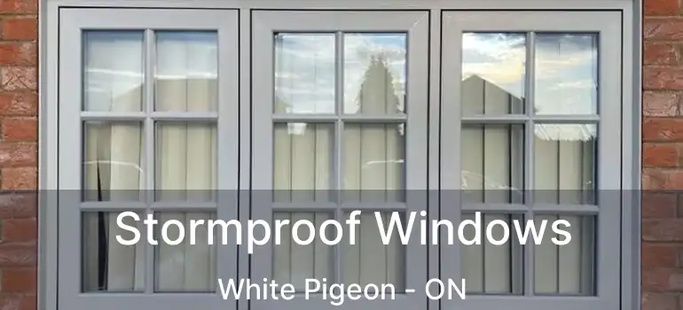  Stormproof Windows White Pigeon - ON