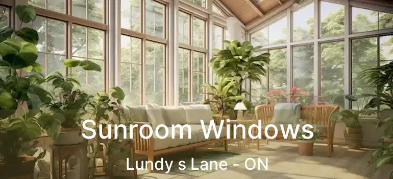  Sunroom Windows Lundy s Lane - ON