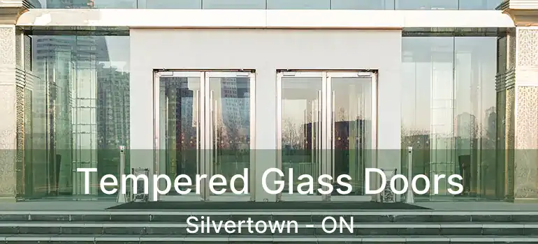  Tempered Glass Doors Silvertown - ON