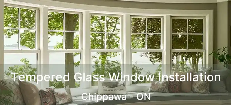  Tempered Glass Window Installation Chippawa - ON