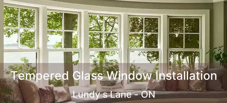  Tempered Glass Window Installation Lundy s Lane - ON