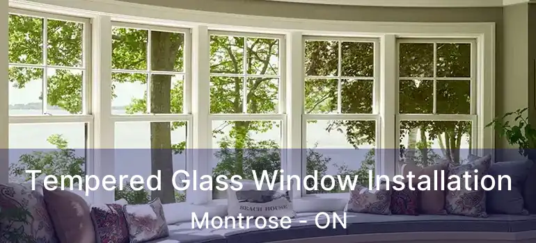  Tempered Glass Window Installation Montrose - ON