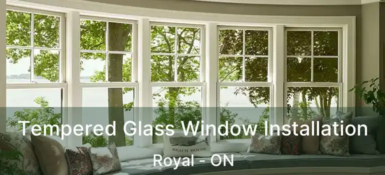  Tempered Glass Window Installation Royal - ON