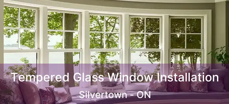  Tempered Glass Window Installation Silvertown - ON