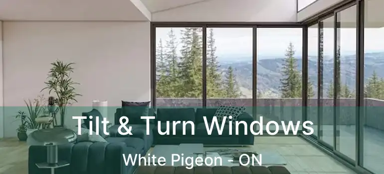  Tilt & Turn Windows White Pigeon - ON