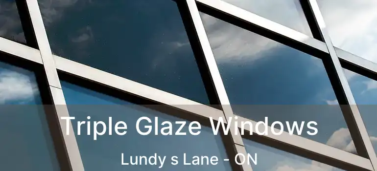  Triple Glaze Windows Lundy s Lane - ON