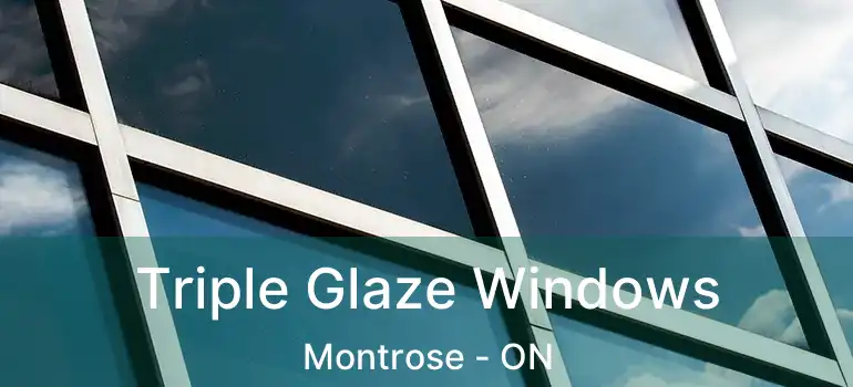  Triple Glaze Windows Montrose - ON