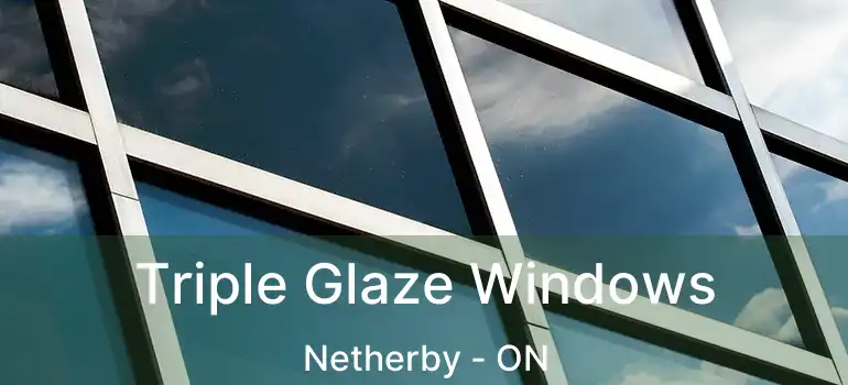  Triple Glaze Windows Netherby - ON