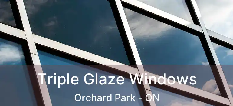  Triple Glaze Windows Orchard Park - ON