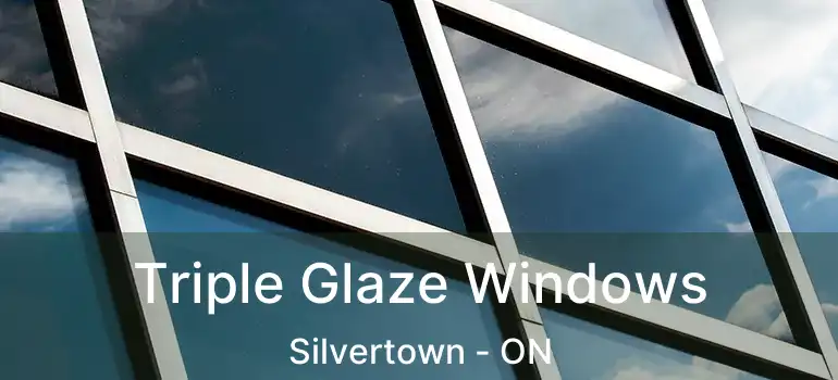  Triple Glaze Windows Silvertown - ON