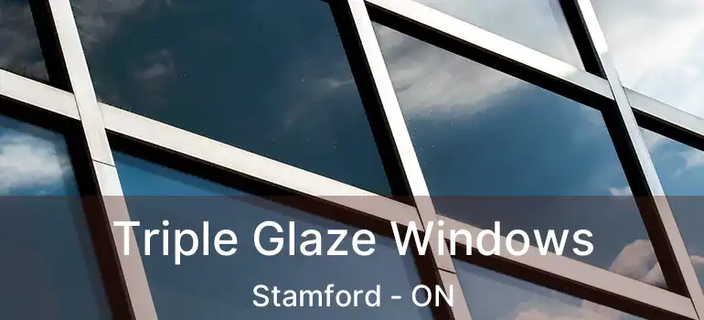  Triple Glaze Windows Stamford - ON