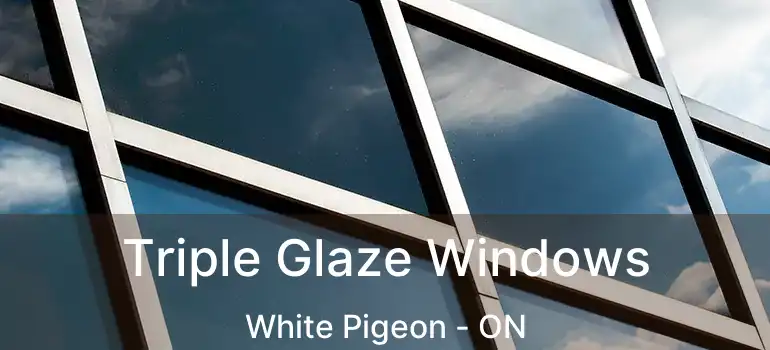  Triple Glaze Windows White Pigeon - ON