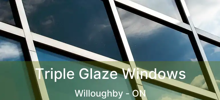  Triple Glaze Windows Willoughby - ON