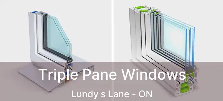  Triple Pane Windows Lundy s Lane - ON