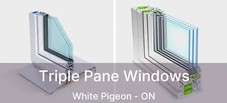  Triple Pane Windows White Pigeon - ON