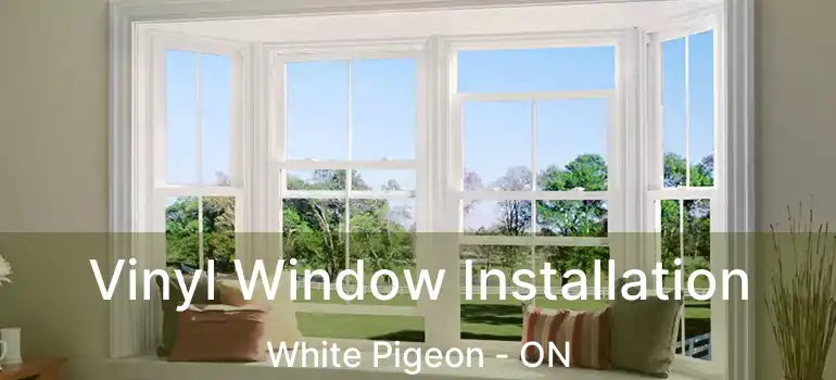  Vinyl Window Installation White Pigeon - ON