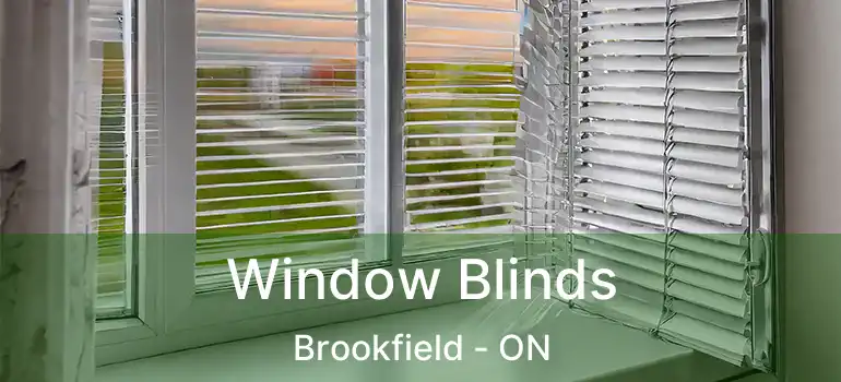  Window Blinds Brookfield - ON