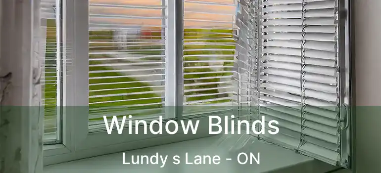  Window Blinds Lundy s Lane - ON