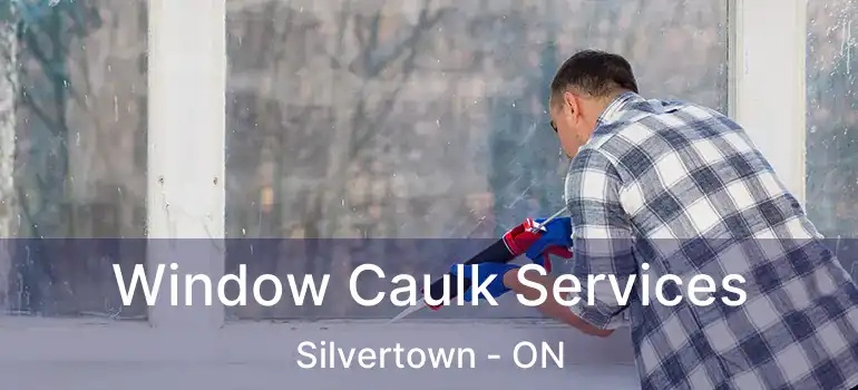  Window Caulk Services Silvertown - ON