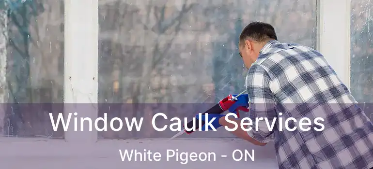  Window Caulk Services White Pigeon - ON