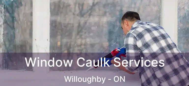  Window Caulk Services Willoughby - ON