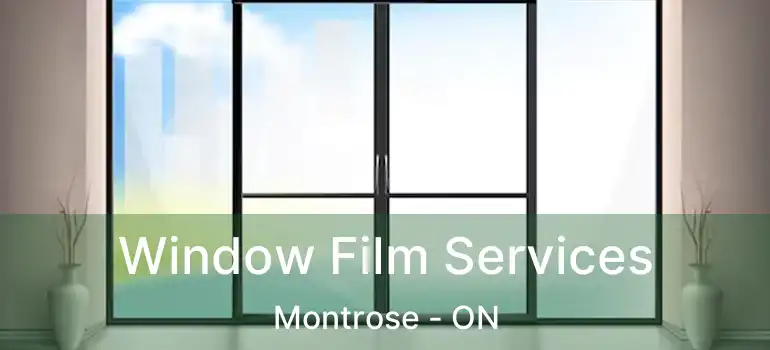  Window Film Services Montrose - ON