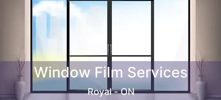  Window Film Services Royal - ON