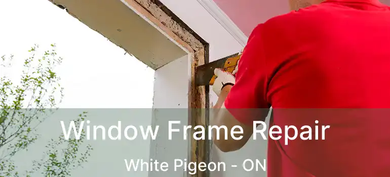  Window Frame Repair White Pigeon - ON