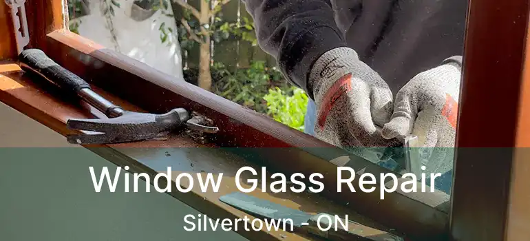  Window Glass Repair Silvertown - ON