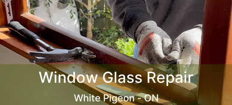  Window Glass Repair White Pigeon - ON