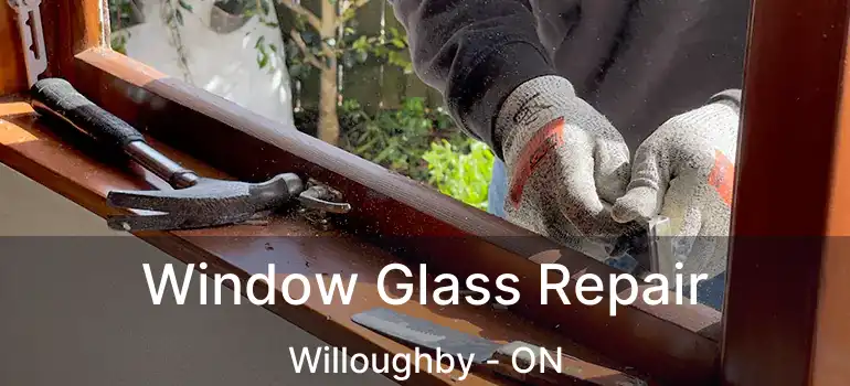  Window Glass Repair Willoughby - ON