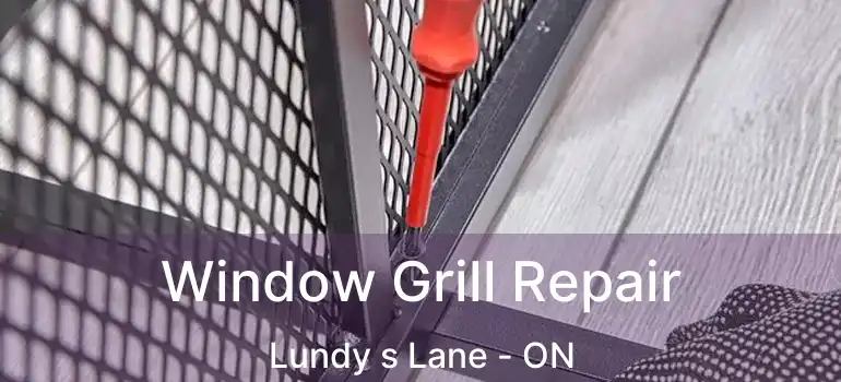  Window Grill Repair Lundy s Lane - ON