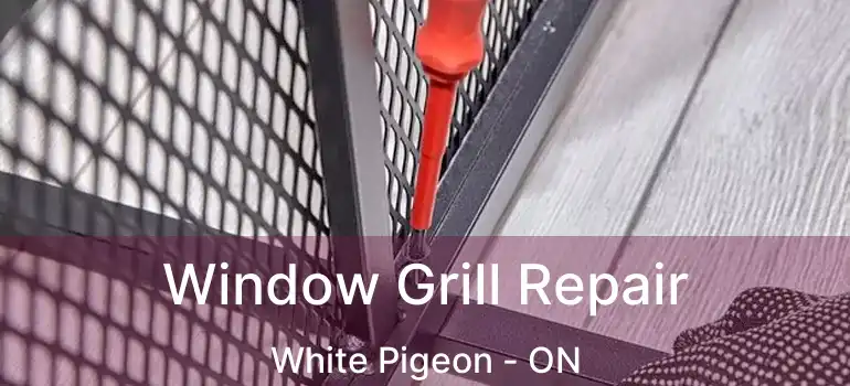  Window Grill Repair White Pigeon - ON